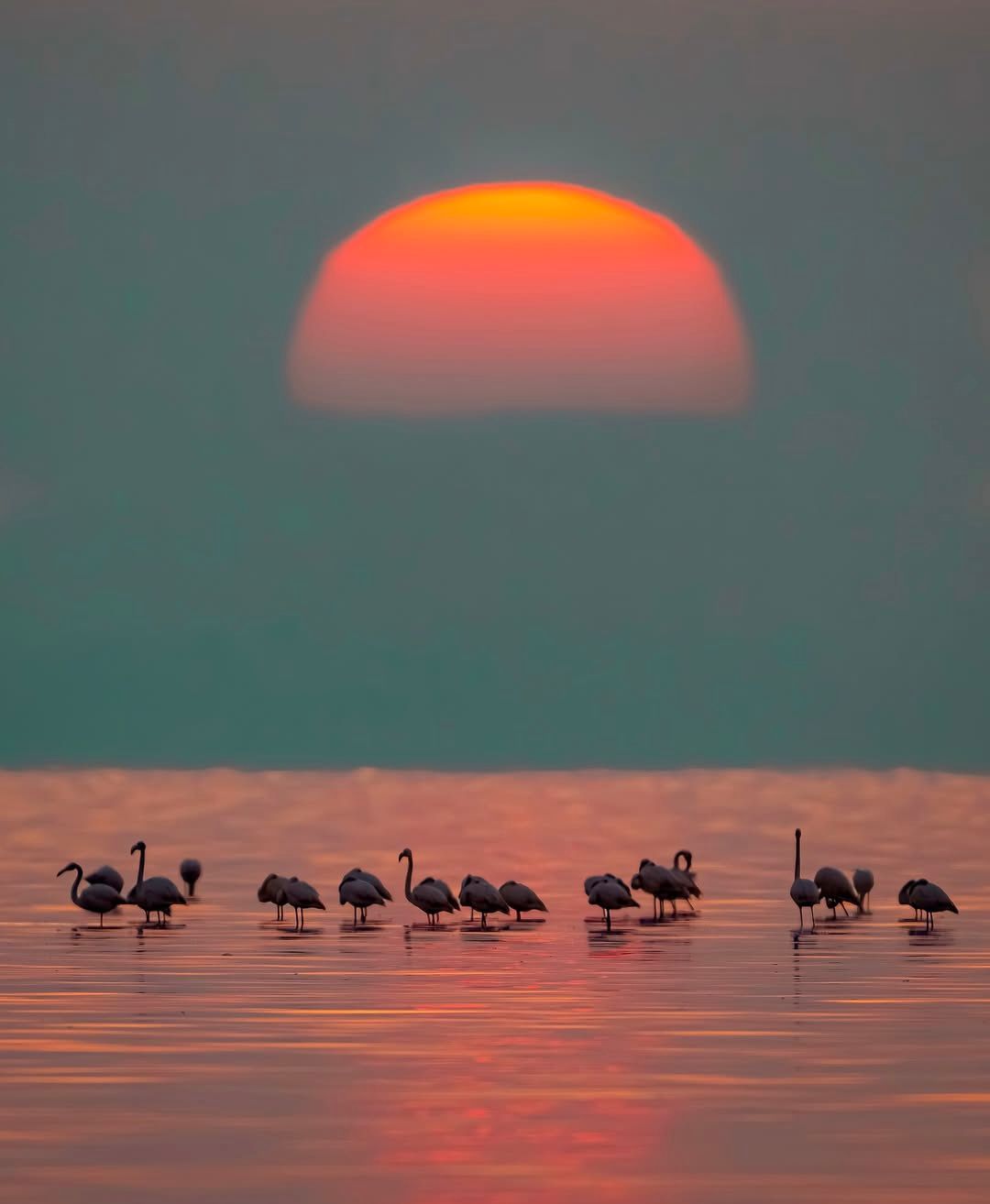 We'd love to hear from you